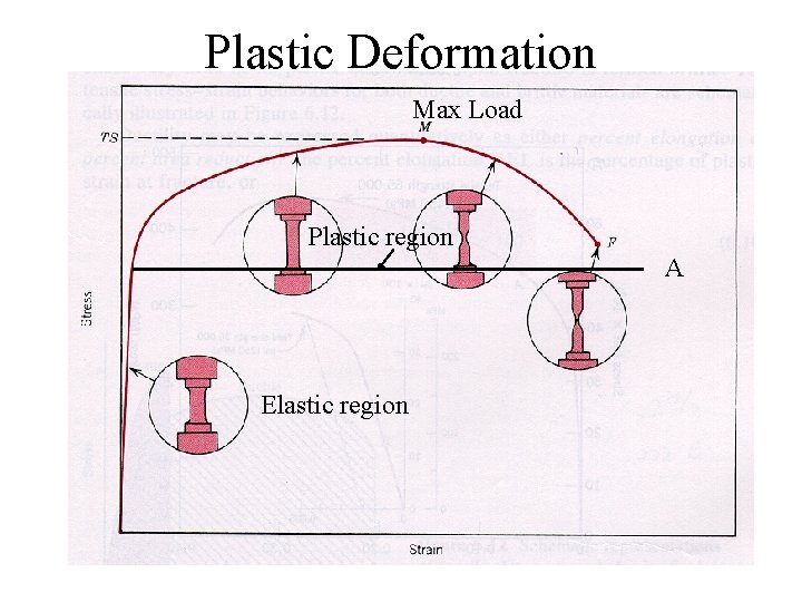 Plastic Deformation Max Load Plastic region A Elastic region 