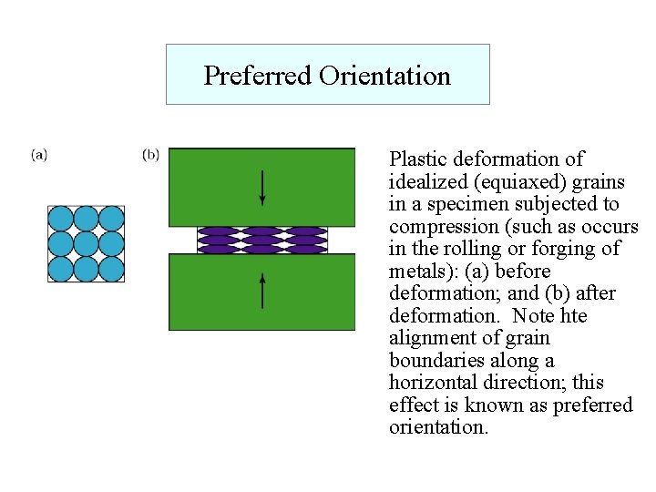 Preferred Orientation Plastic deformation of idealized (equiaxed) grains in a specimen subjected to compression