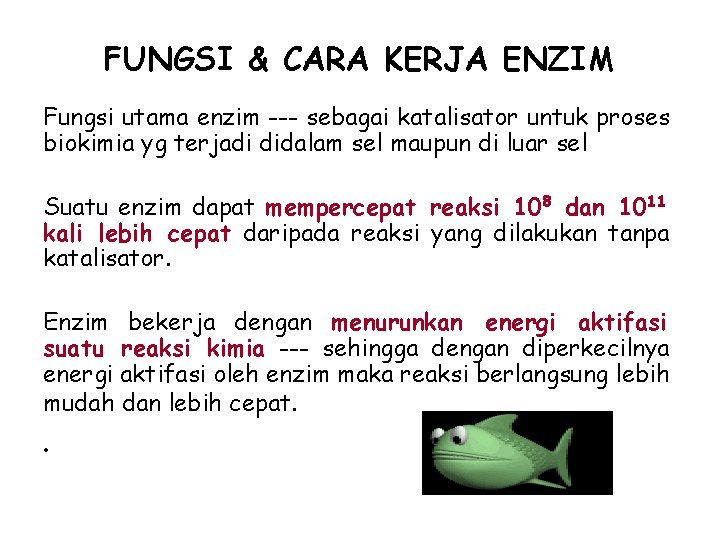 FUNGSI & CARA KERJA ENZIM Fungsi utama enzim --- sebagai katalisator untuk proses biokimia