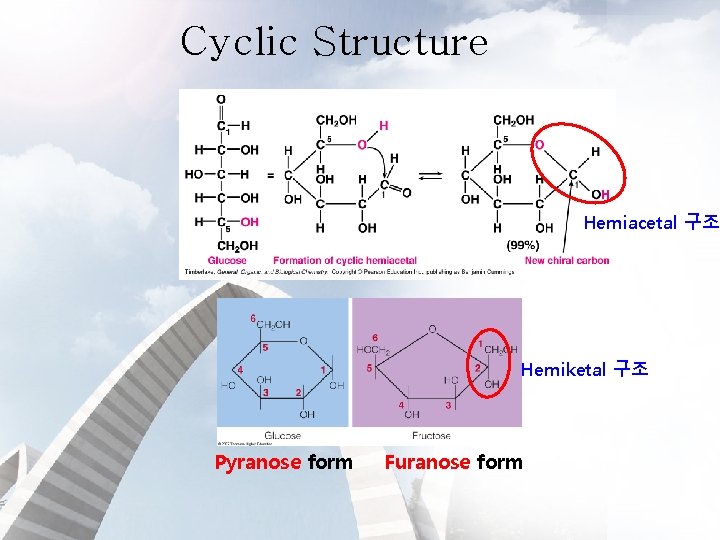 Cyclic Structure Hemiacetal 구조 Hemiketal 구조 Pyranose form Furanose form 