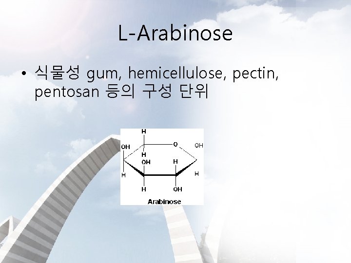 L-Arabinose • 식물성 gum, hemicellulose, pectin, pentosan 등의 구성 단위 