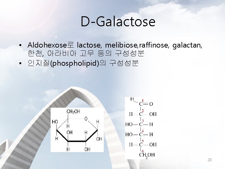 D-Galactose • Aldohexose로 lactose, melibiose, raffinose, galactan, 한천, 아라비아 고무 등의 구성성분 • 인지질(phospholipid)의