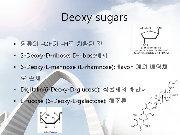 Deoxy sugars • 당류의 –OH가 –H로 치환된 것 • 2 -Deoxy-D-ribose: D-ribose에서 • 6