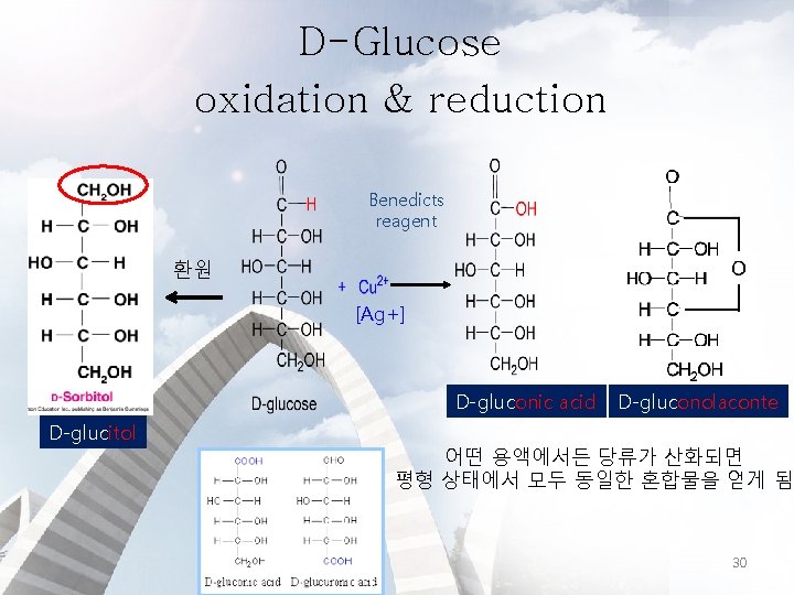 D-Glucose oxidation & reduction Benedicts reagent 환원 [Ag+] D-gluconic acid D-glucitol D-gluconolaconte 어떤 용액에서든