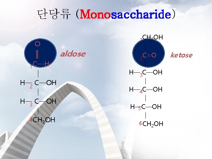 단당류 (Monosaccharide) O ║ 1 C─H │ H─2 C─OH │ H─3 C─OH │ 4