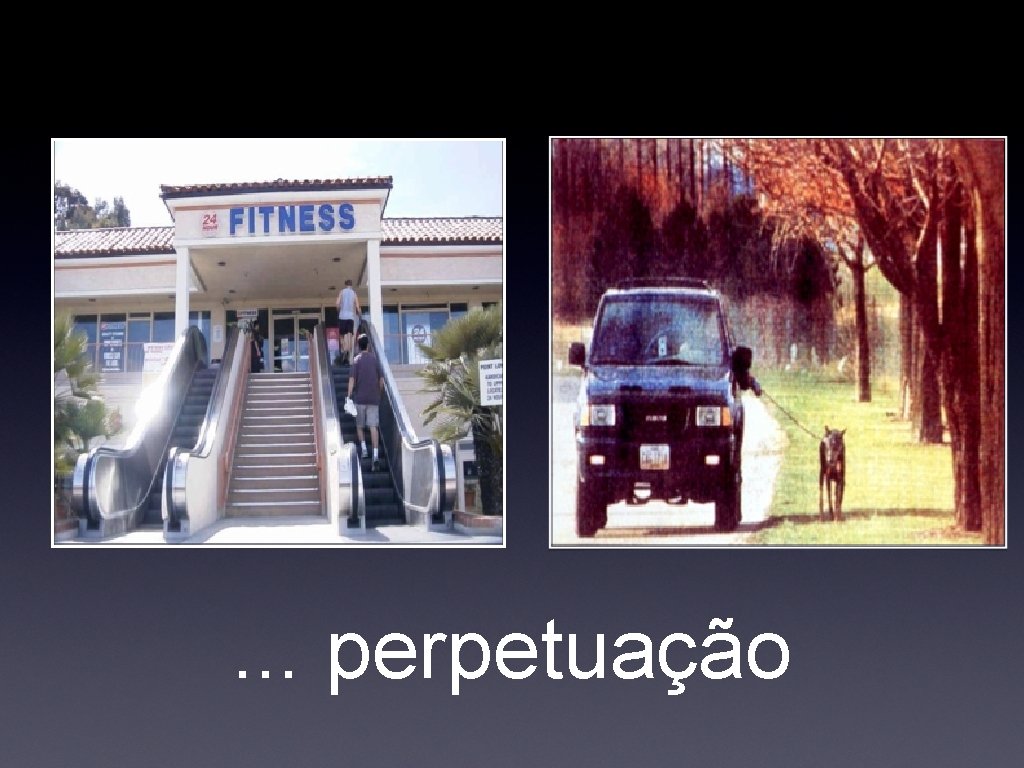 . . . perpetuação 