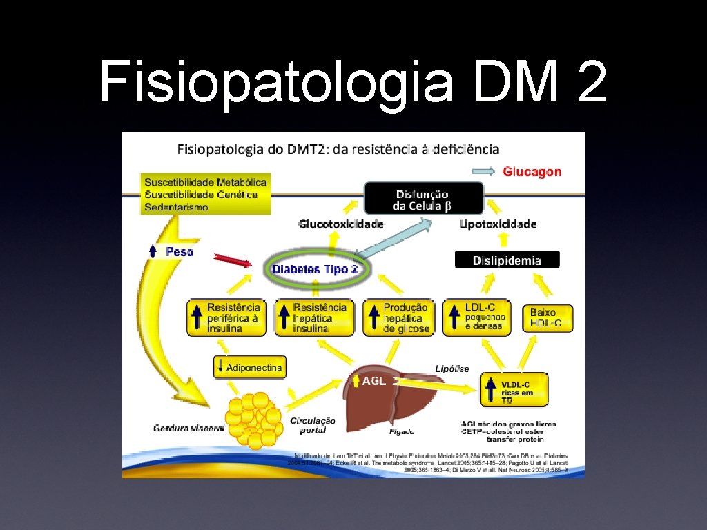 Fisiopatologia DM 2 