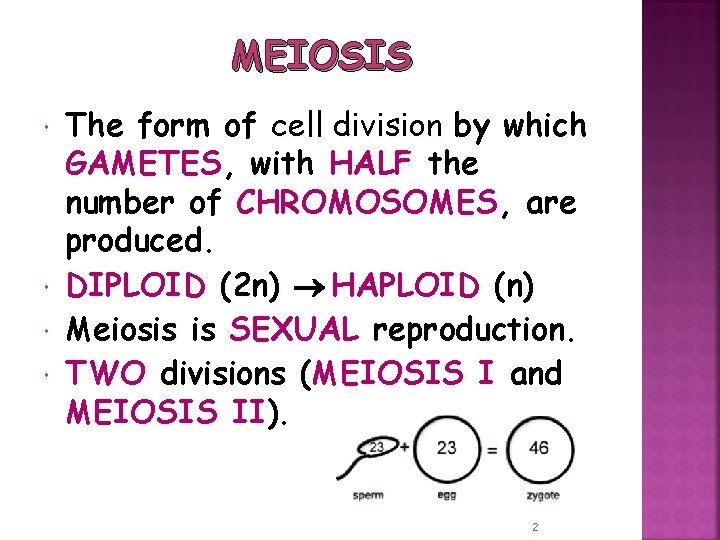 MEIOSIS The form of cell division by which GAMETES, with HALF the number of