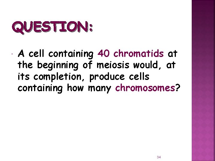 QUESTION: A cell containing 40 chromatids at the beginning of meiosis would, at its