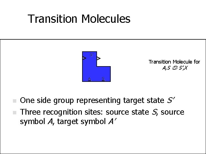 Transition Molecules S’ Transition Molecule for A, S S’, X A n n S