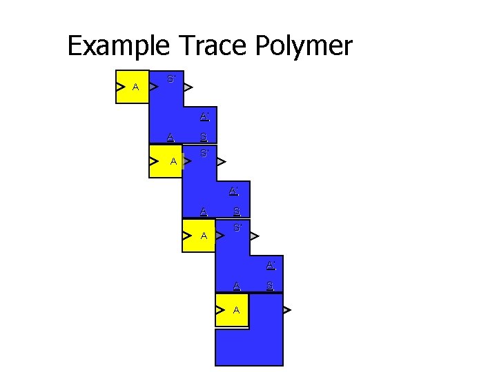 Example Trace Polymer A S’ A’ A A S S’ A’ A S’ A’
