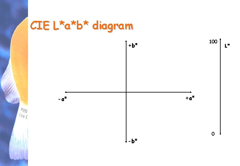 CIE L*a*b* diagram 100 +b* +a* -b* TGP - vaje 5. VAJA 0 L*