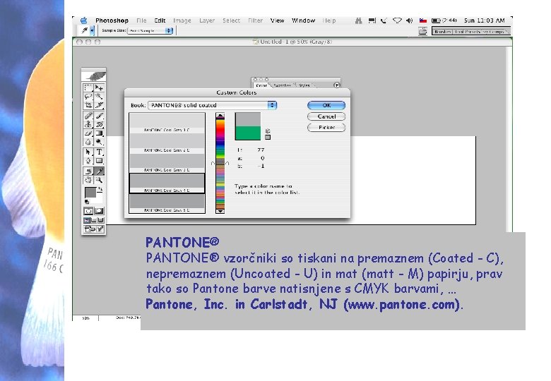 PANTONE® vzorčniki so tiskani na premaznem (Coated - C), nepremaznem (Uncoated - U) in