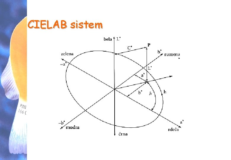 CIELAB sistem TGP - vaje 5. VAJA 