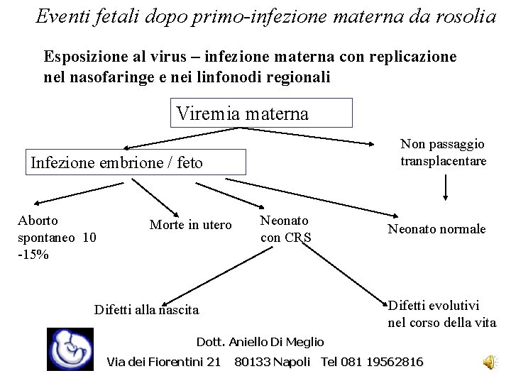 Eventi fetali dopo primo-infezione materna da rosolia Esposizione al virus – infezione materna con