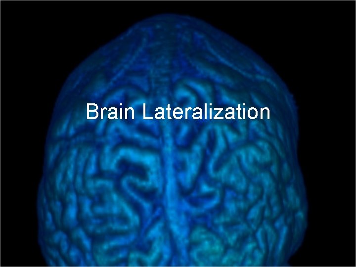 Brain Lateralization 