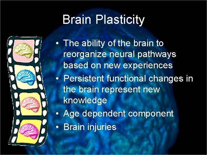 Brain Plasticity • The ability of the brain to reorganize neural pathways based on