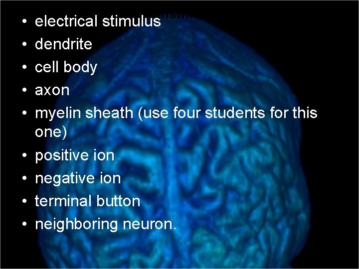  • • • Neural Transmission Act 1 electrical stimulus dendrite cell body axon