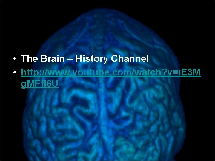  • The Brain – History Channel • http: //www. youtube. com/watch? v=i. E