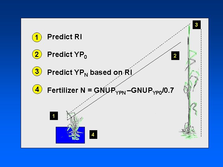 3 1 Predict RI 2 Predict YP 0 3 Predict YPN based on RI