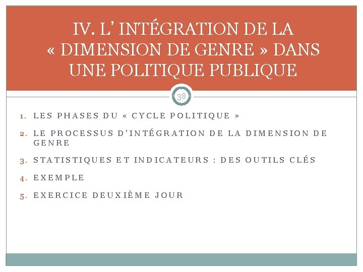 IV. L’INTÉGRATION DE LA « DIMENSION DE GENRE » DANS UNE POLITIQUE PUBLIQUE 38