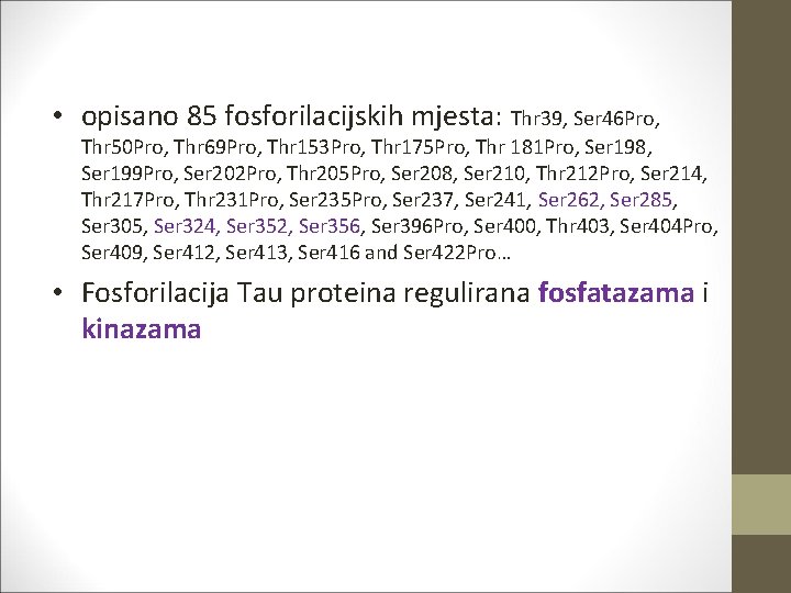  • opisano 85 fosforilacijskih mjesta: Thr 39, Ser 46 Pro, Thr 50 Pro,