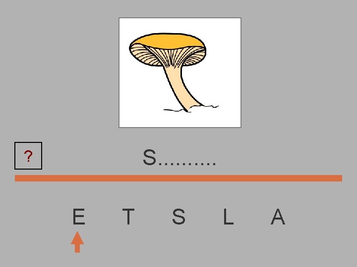 S. . ? E T S L A 