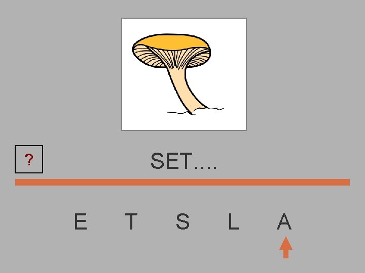 SET. . ? E T S L A 