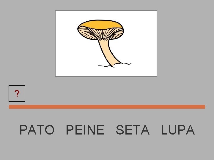 ? SETA PATO PEINE SETA LUPA 