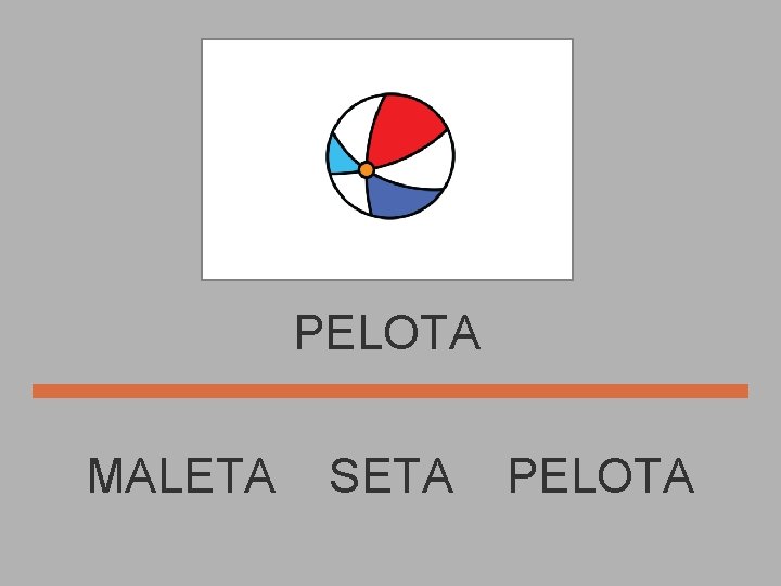 PELOTA MALETA SETA PELOTA 