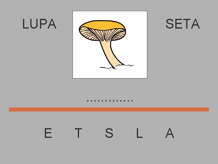 LUPA SETA . . . E T S L A 