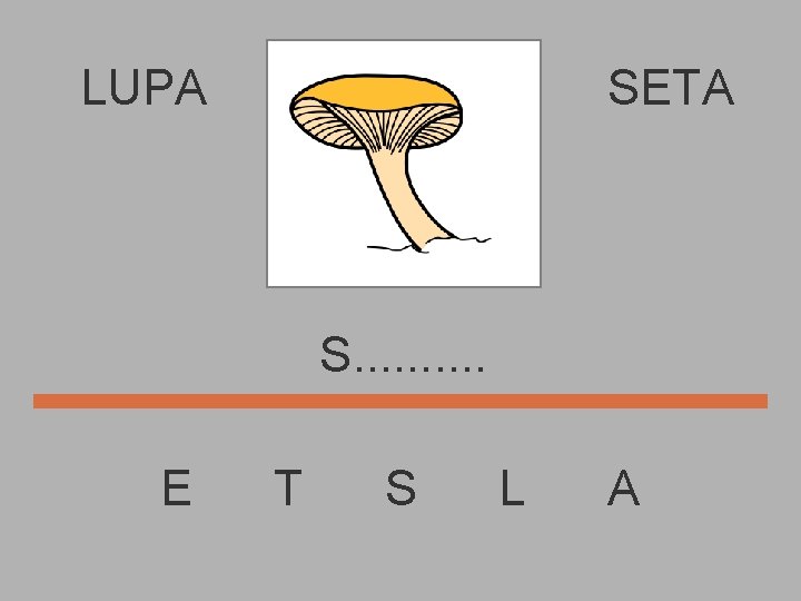 LUPA SETA S. . E T S L A 