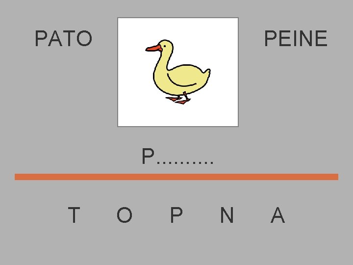 PATO PEINE P. . T O P N A 