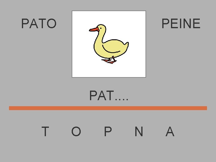 PATO PEINE PAT. . T O P N A 