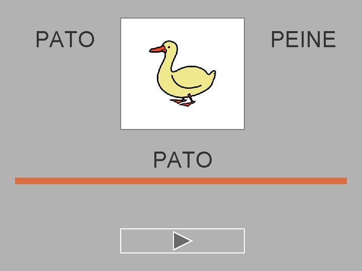 PATO PEINE PATO 