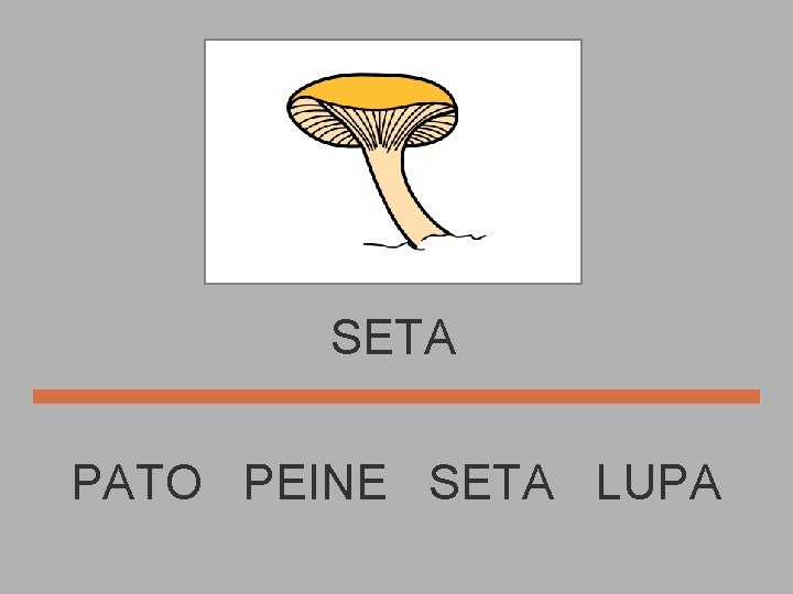 SETA PATO PEINE SETA LUPA 