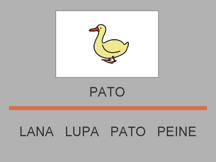 PATO LANA LUPA PATO PEINE 