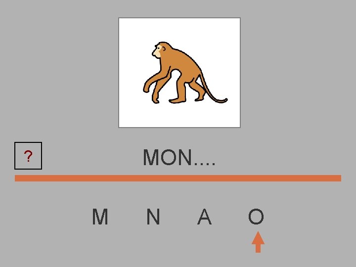 MON. . ? M N A O 