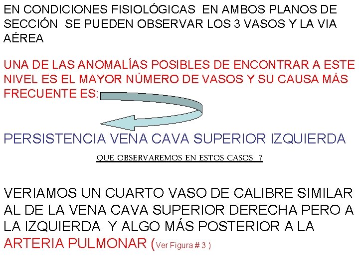 EN CONDICIONES FISIOLÓGICAS EN AMBOS PLANOS DE SECCIÓN SE PUEDEN OBSERVAR LOS 3 VASOS