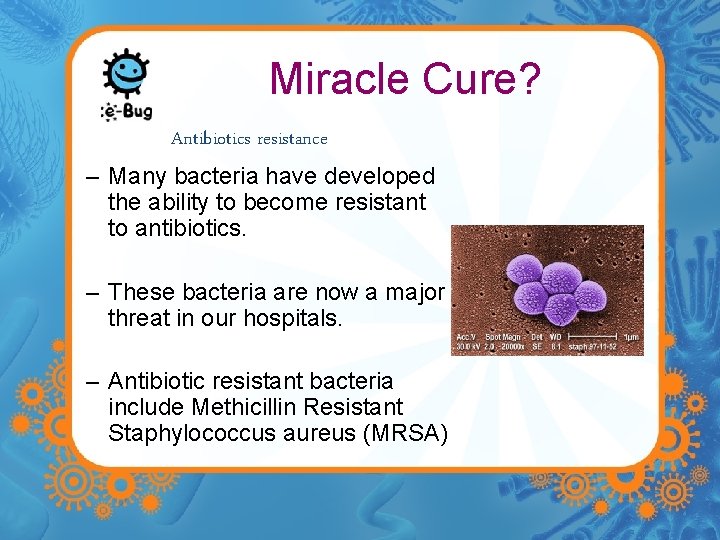 Miracle Cure? Antibiotics resistance – Many bacteria have developed the ability to become resistant Miracle Cure? Antibiotics resistance – Many bacteria have developed the ability to become resistant