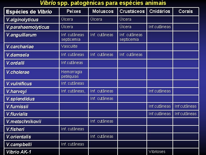 Vibrio spp. patogênicas para espécies animais Espécies de Vibrio Peixes V. alginolyticus Úlcera V.