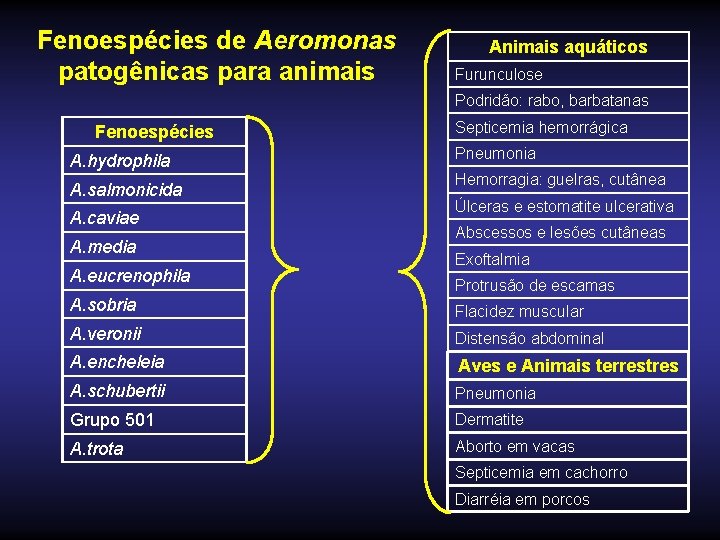 Fenoespécies de Aeromonas patogênicas para animais Animais aquáticos Furunculose Podridão: rabo, barbatanas Fenoespécies A.