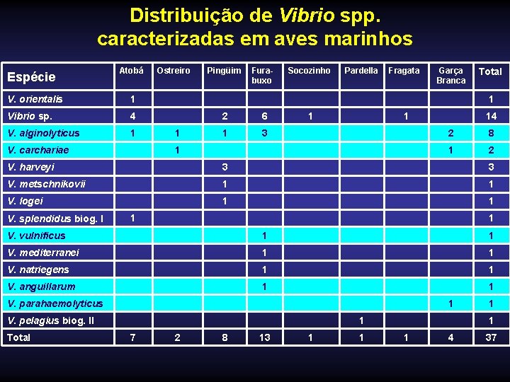 Distribuição de Vibrio spp. caracterizadas em aves marinhos Espécie Atobá Ostreiro Pingüim Furabuxo Socozinho