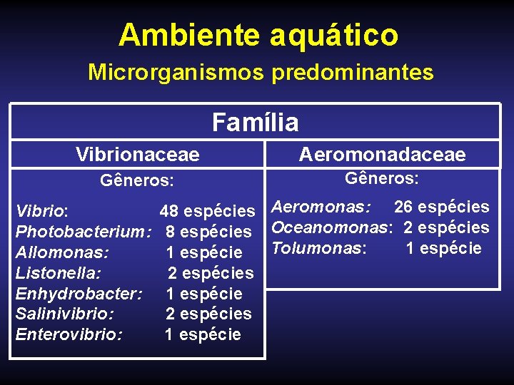 Ambiente aquático Microrganismos predominantes Família Vibrionaceae Aeromonadaceae Gêneros: Vibrio: 48 espécies Aeromonas: 26 espécies