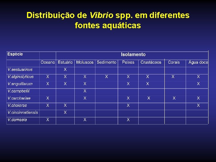 Distribuição de Vibrio spp. em diferentes fontes aquáticas 