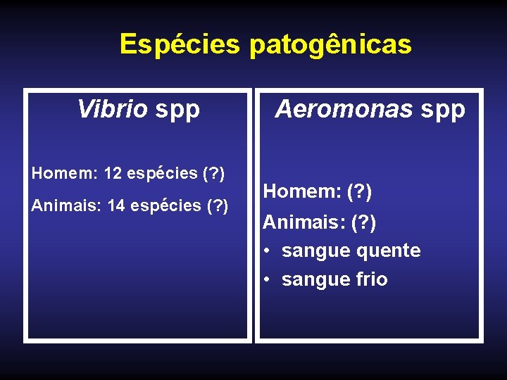 Espécies patogênicas Vibrio spp Homem: 12 espécies (? ) Animais: 14 espécies (? )