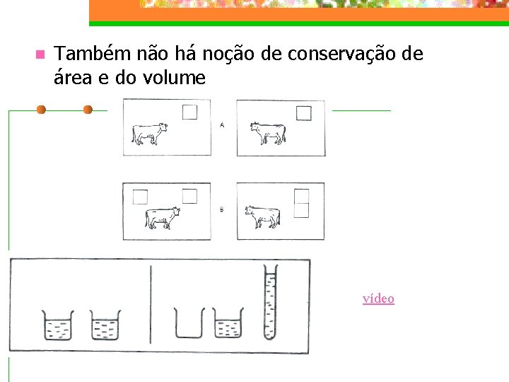 n Também não há noção de conservação de área e do volume vídeo 