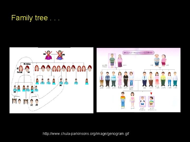 Family tree. . . http: //www. chula-parkinsons. org/image/genogram. gif 