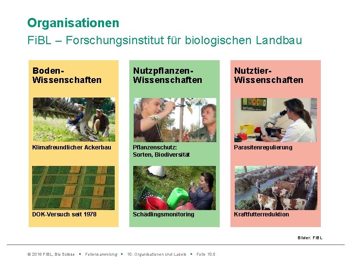 Organisationen Fi. BL – Forschungsinstitut für biologischen Landbau Boden. Wissenschaften Nutzpflanzen. Wissenschaften Nutztier. Wissenschaften