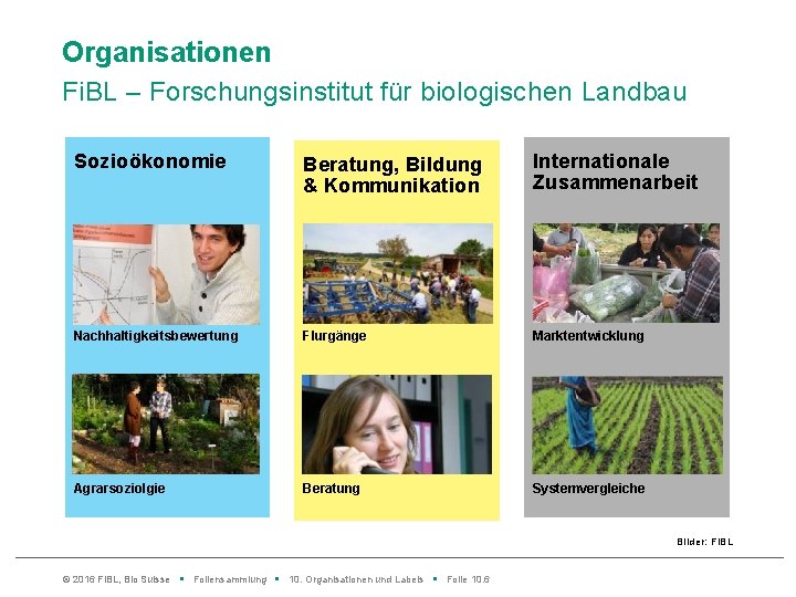 Organisationen Fi. BL – Forschungsinstitut für biologischen Landbau Sozioökonomie Beratung, Bildung & Kommunikation Internationale